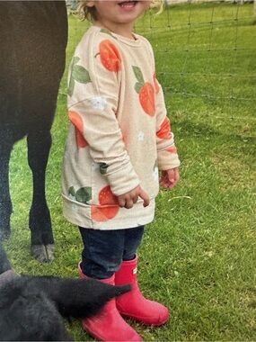 Cabin Fever (smallshop) Peach Print Long Sleeve Sweater 1-3T
